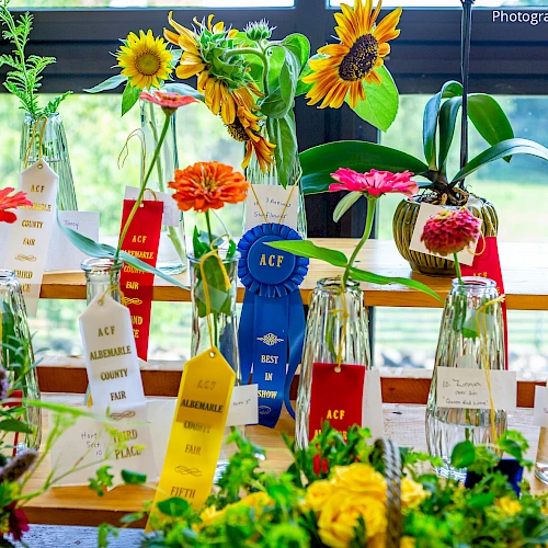 A colorful flower display with vases, ribbons, and award tags; sunflowers and bright blooms create a cheerful garden scene.