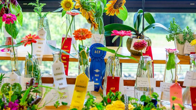 A colorful flower display with vases, ribbons, and award tags; sunflowers and bright blooms create a cheerful garden scene.