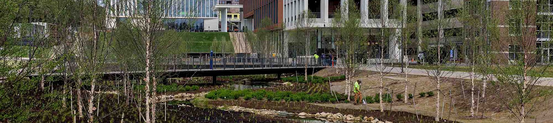 A modern campus scene with a small stream, trees, and contemporary brick buildings in the background, under a partly cloudy sky.