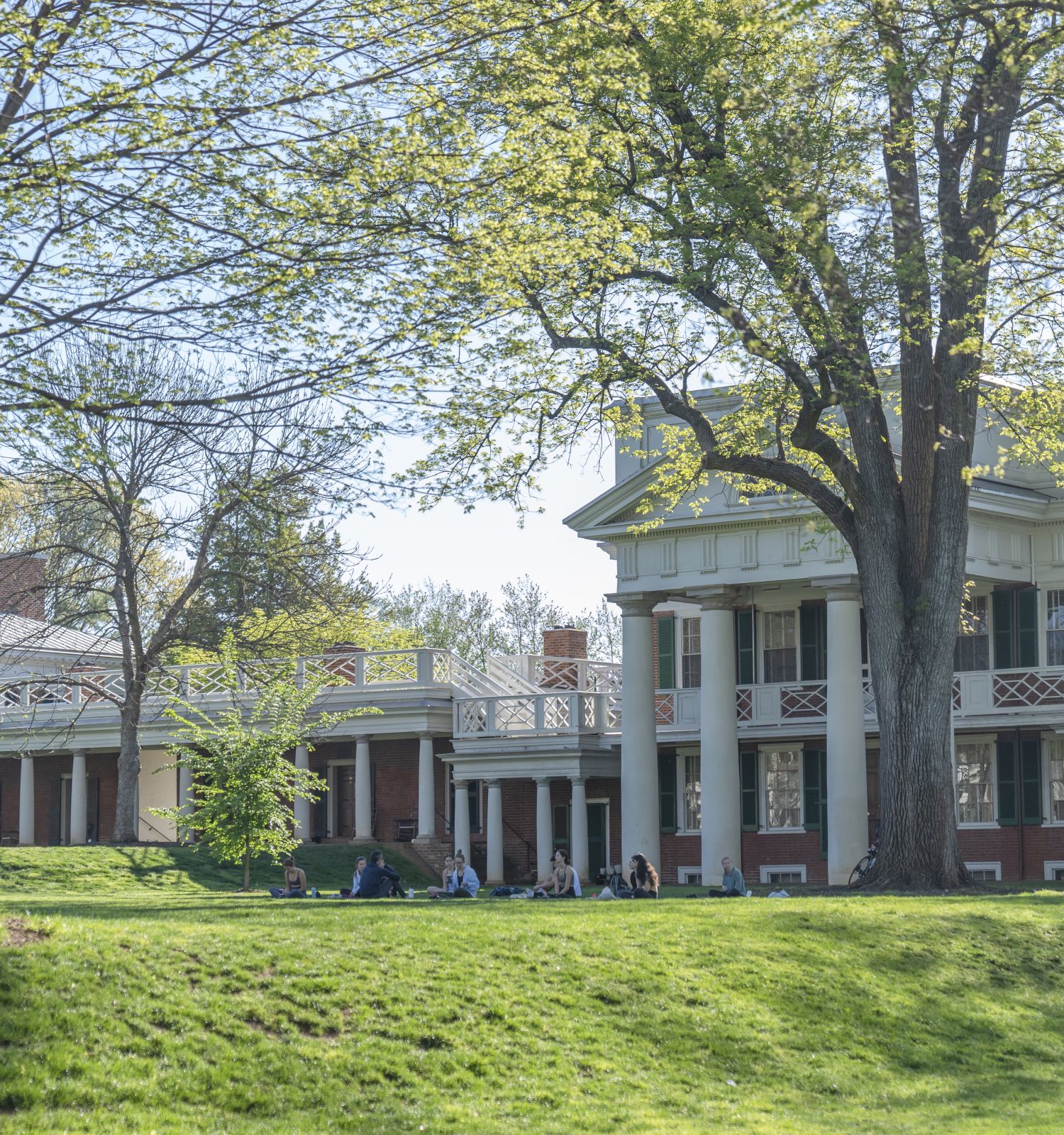 A sunny campus lawn with students picnicking under tall leafy trees beside a classic brick-and-column building.